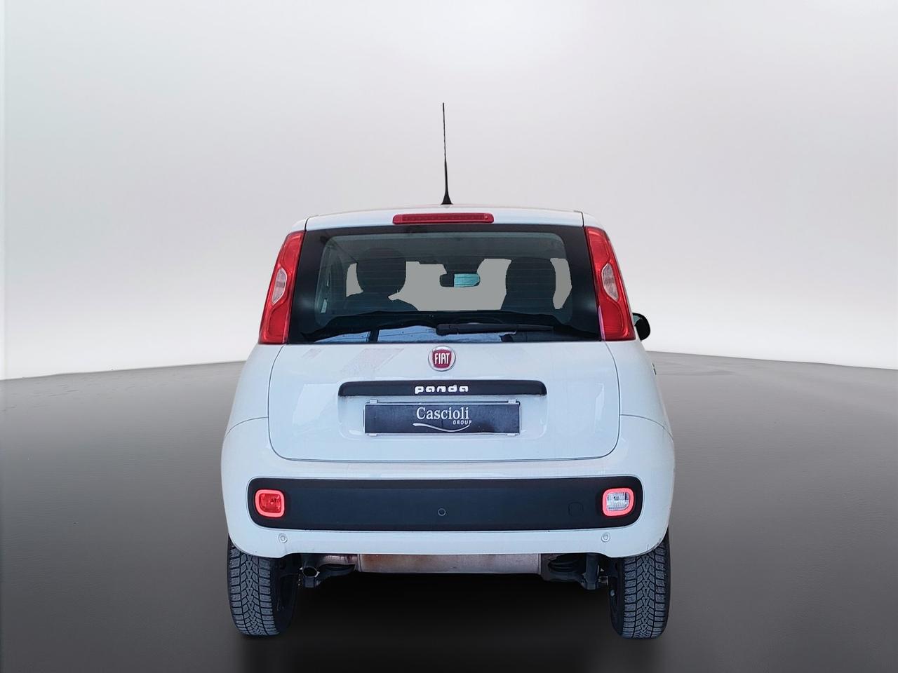 FIAT Panda III 2016 - Panda 0.9 t.air t. natural power Easy 80cv my19