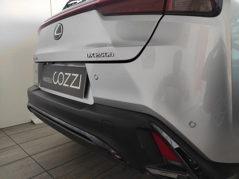 LEXUS UX - UX Hybrid Design