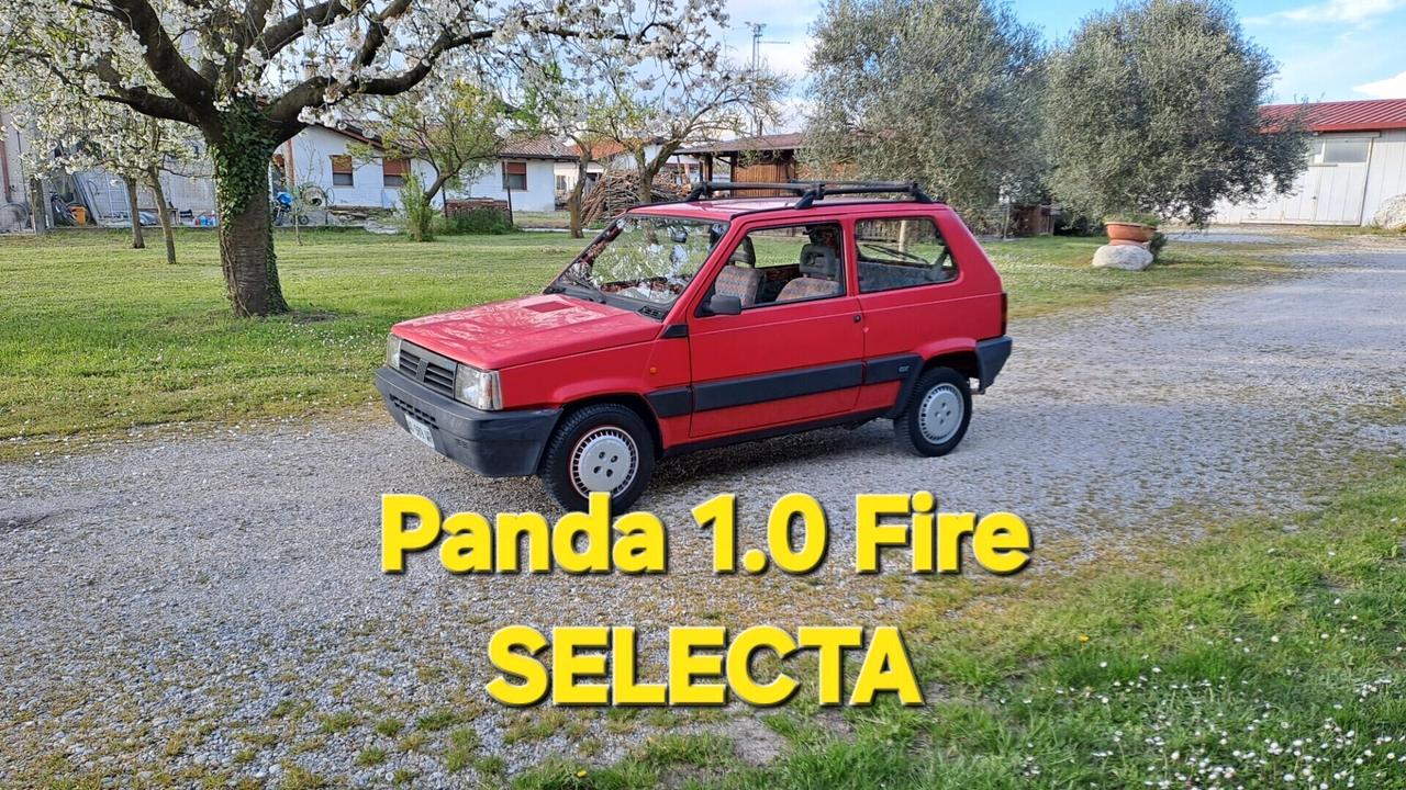 Fiat Panda 1100 i.e. cat Selecta