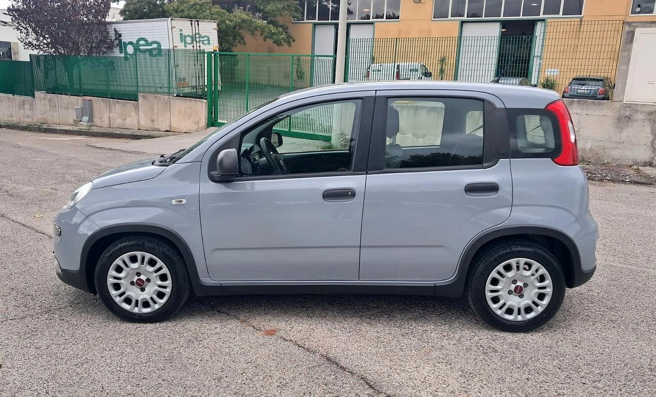 Fiat Panda 1.0 FireFly S&S Hybrid (Iva Esposta)