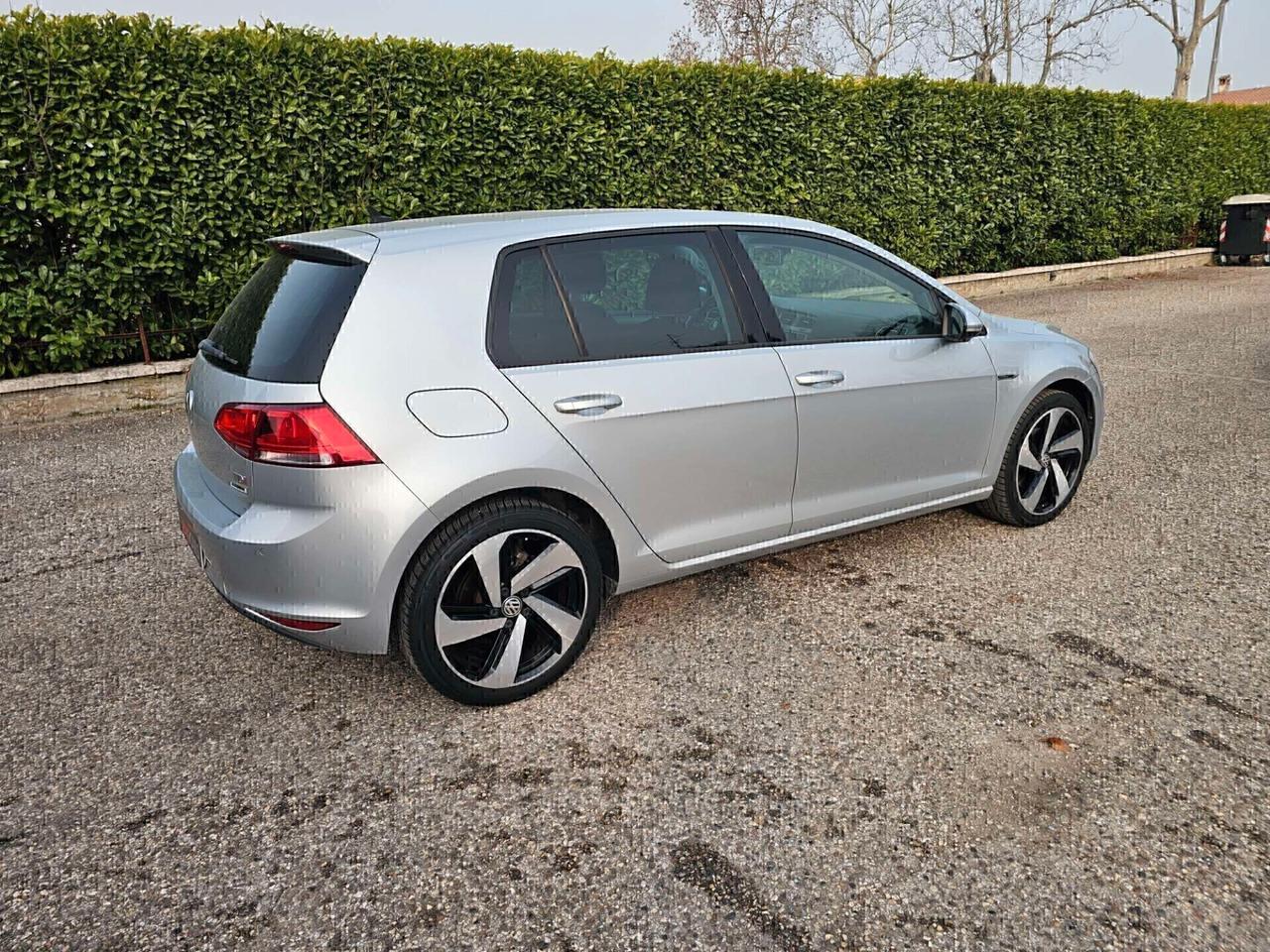 Volkswagen Golf 1.6 TDI 110 CV 5p. Executive BlueMotion Technology