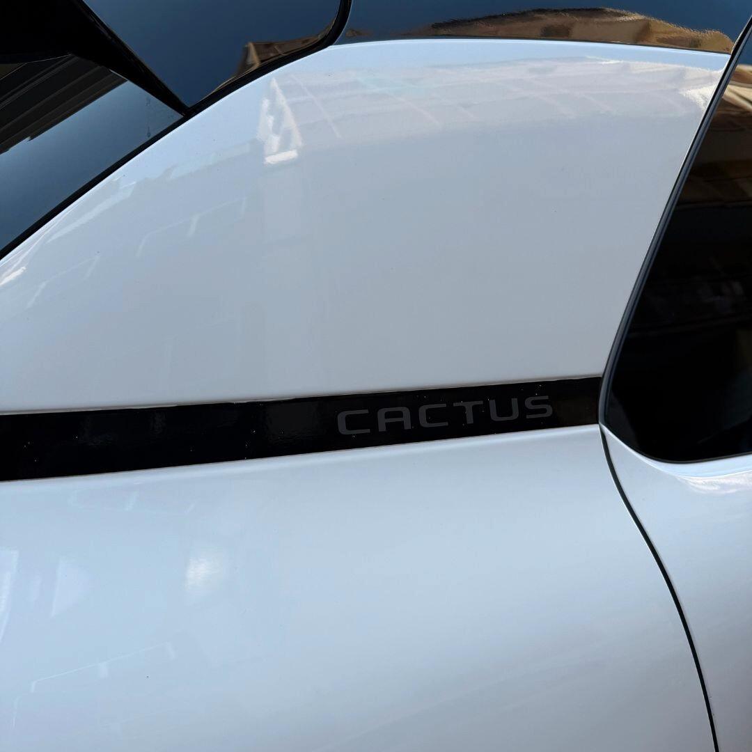 Citroen C4 Cactus BlueHDi 100 S&S Shine