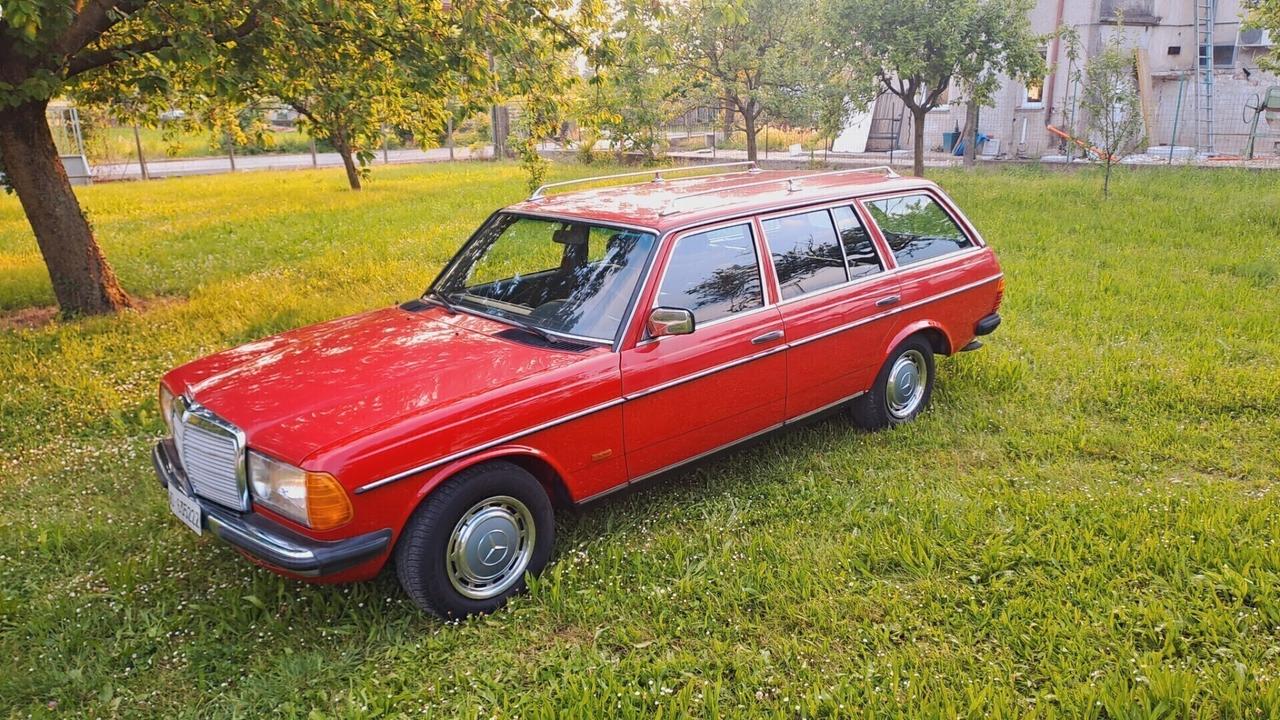 Mercedes-benz 240 TD 5 marce e clima da lieve restauro