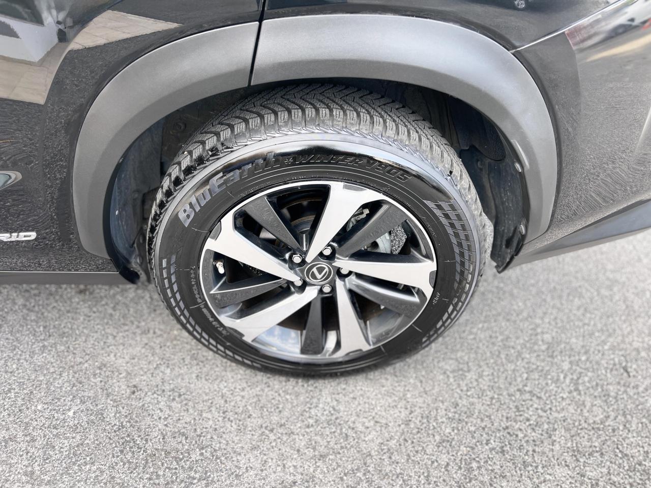 Lexus NX 300h Luxury 2.5 Hybrid 155CV E6 - 2020
