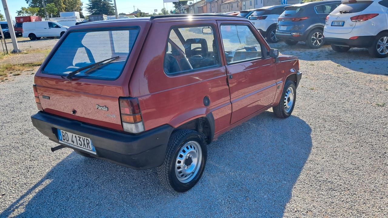 Fiat Panda 900 i.e. cat Young