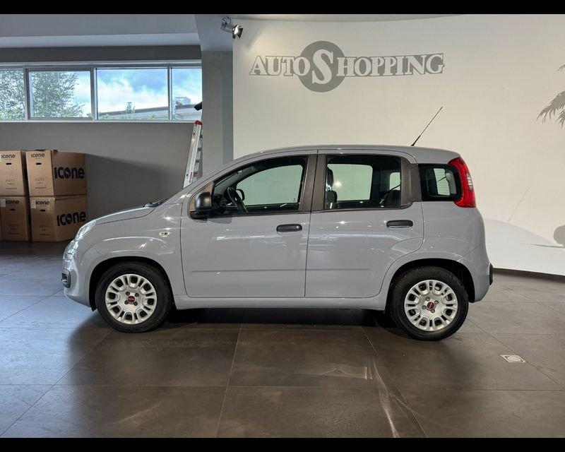 FIAT Panda 3ª serie 1.0 FireFly S&S Hybrid