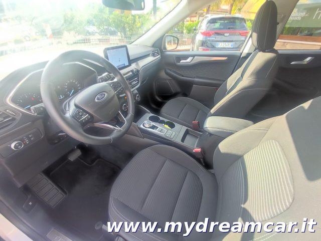 FORD Kuga 1.5 EcoBlue 120 CV 2WD Titanium