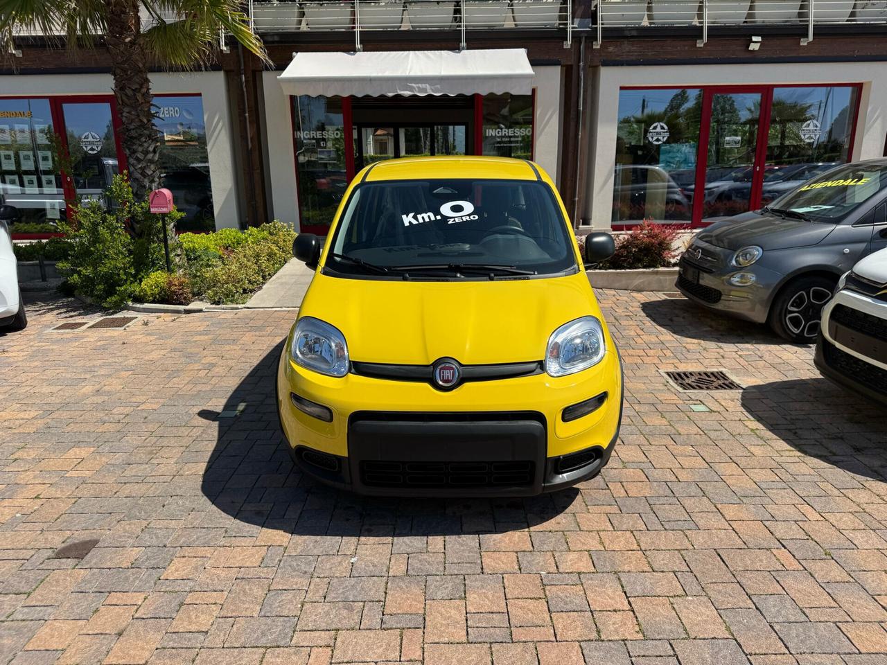 Fiat Panda 1.0 FireFly S&S Hybrid PREZZO PROMO 13.990,00 TUA A 173,00 EURO AL MESE 0 ANTICIPO 0 MAXIRATA
