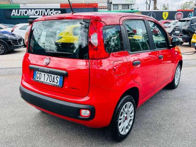 Fiat Panda Panda EASY 1.2 FIRE 4 CILINDRI PRONTA CONSEGNA