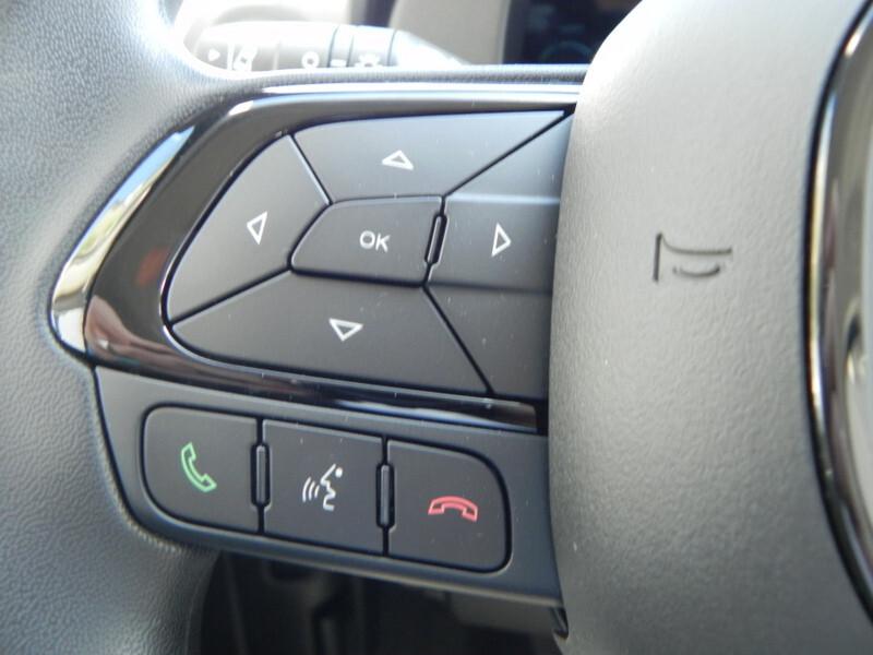 Fiat Panda Pandina 1.0 FireFly 65 CV Hybrid Icon