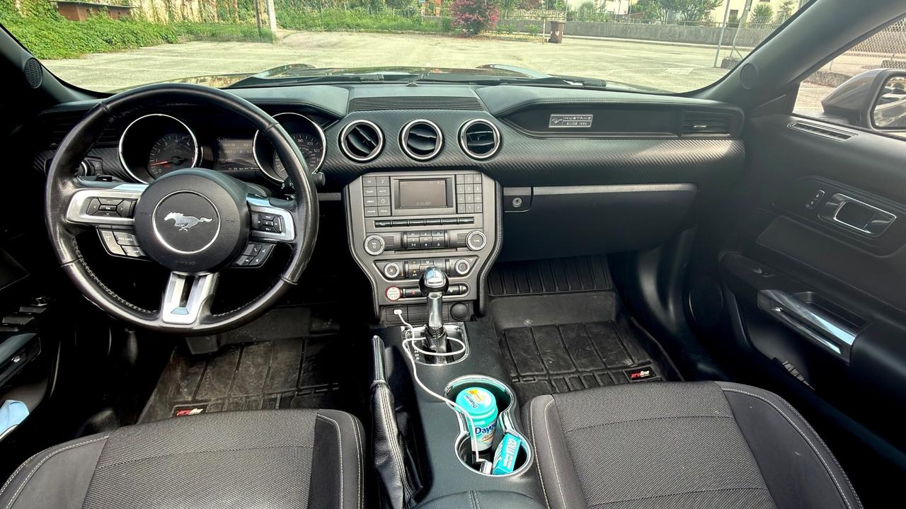 Ford Mustang America
