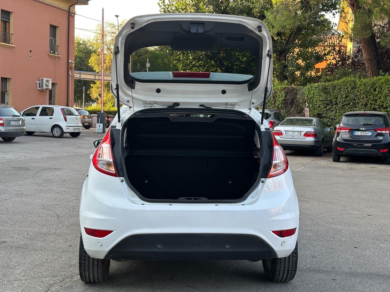 Ford Fiesta 1.4 5 porte Bz.- GPL Black & White Edition