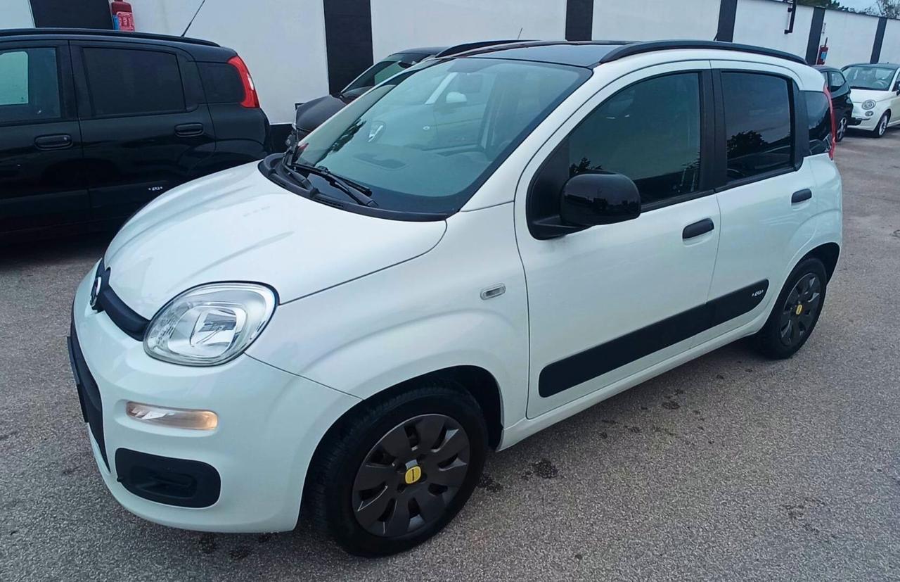 Fiat Panda Young anche SENZA BS PAGA