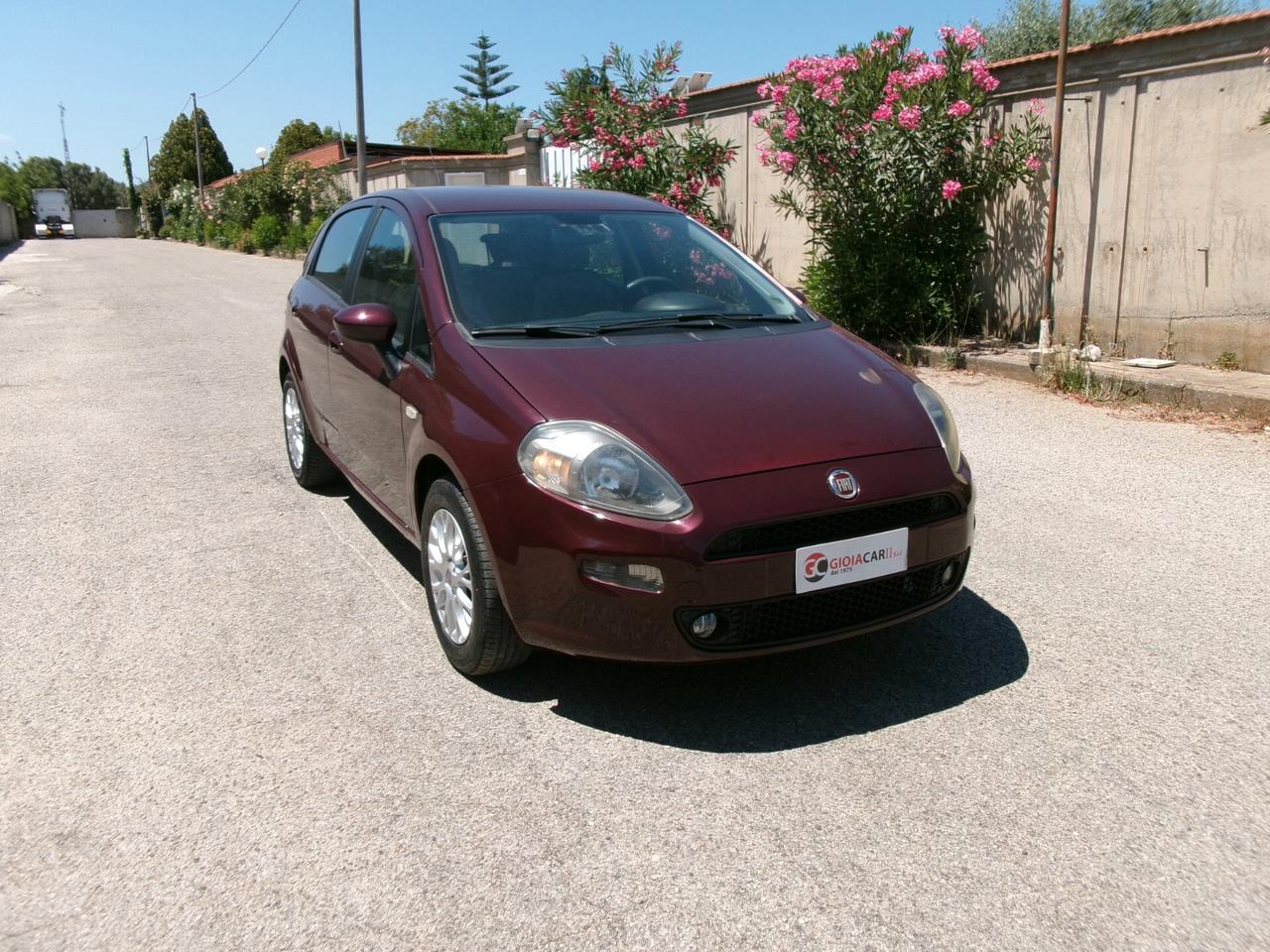 Fiat Punto Evo Punto Evo 1.2 5 porte S&S Active