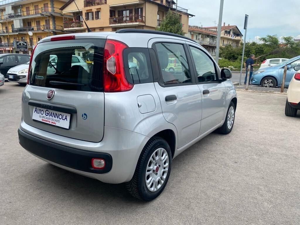 Fiat Panda 1.2 Lounge Con Solo KM 63000