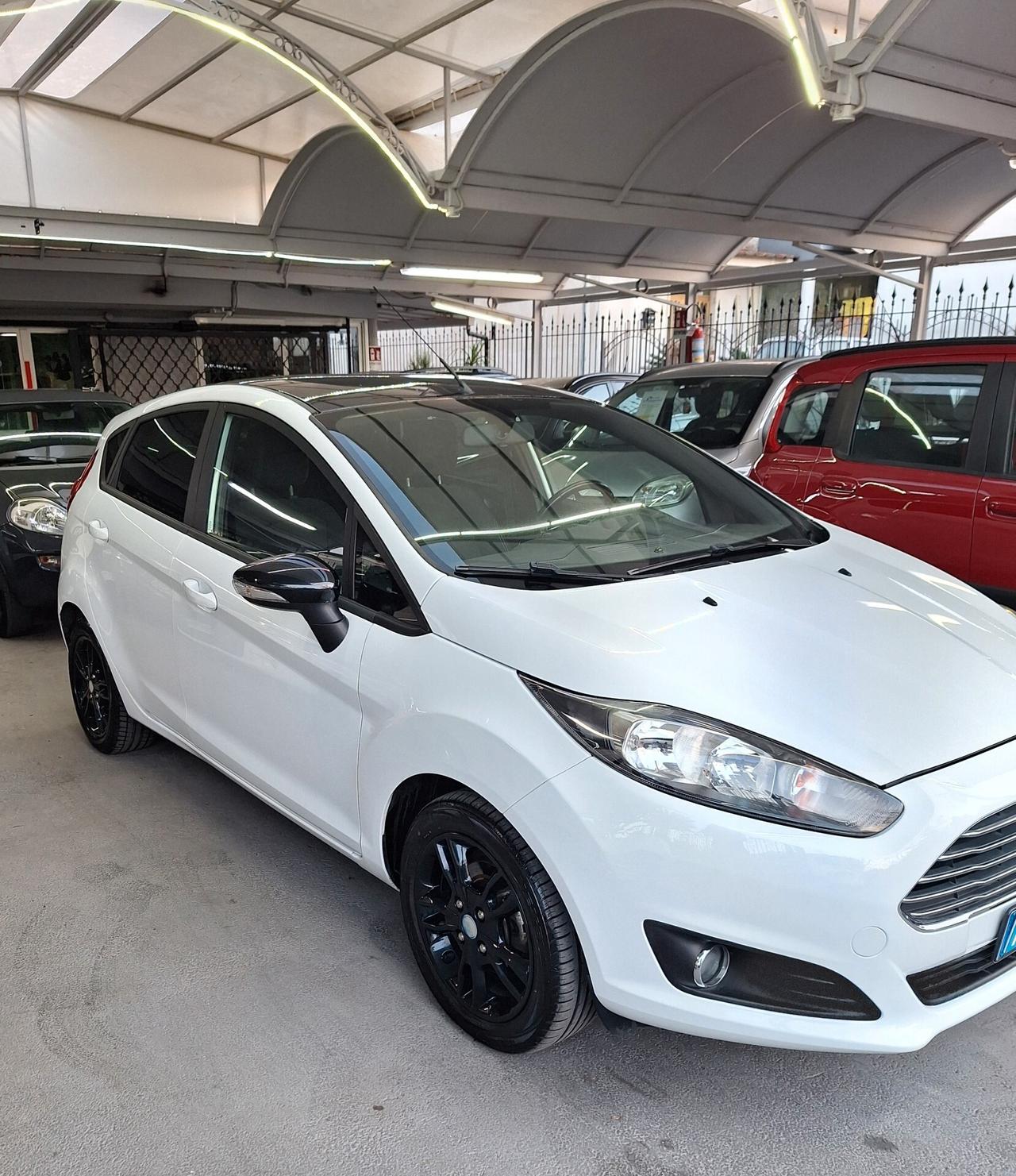 Ford Fiesta 1.5 TDCi 75CV 5 porte Black & White Edition E6