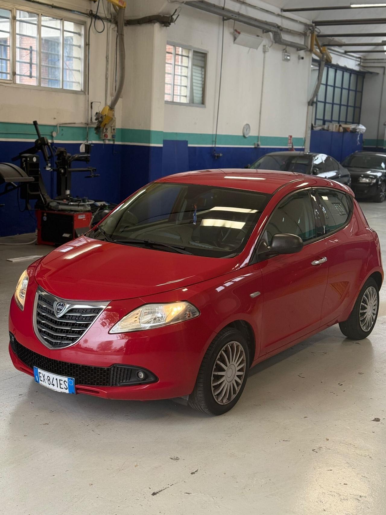 Lancia Ypsilon 1.3 MJT 16V 95 CV 5 porte S&S Elefantino