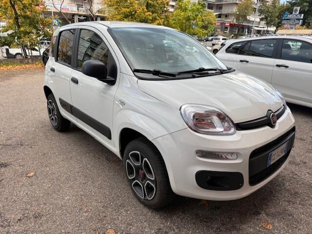 Fiat Panda 0.9 TwinAir Turbo S&S 4x4 Pop Van 2 posti