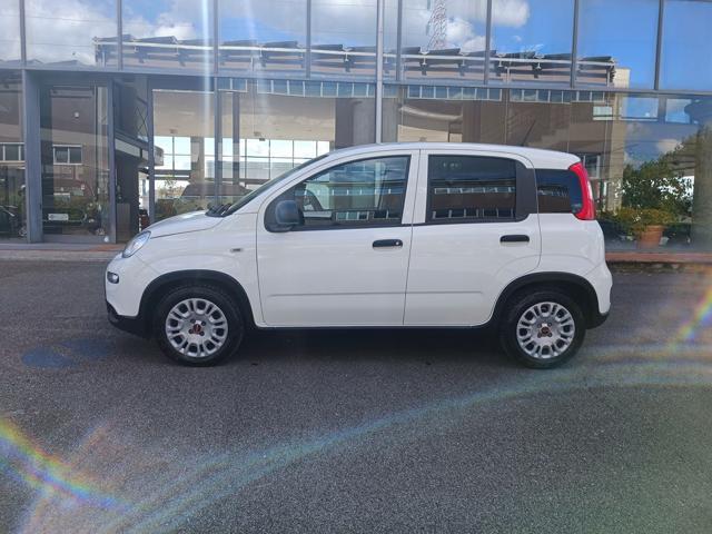 FIAT Panda 1.0 S&S Hybrid Van 2 posti