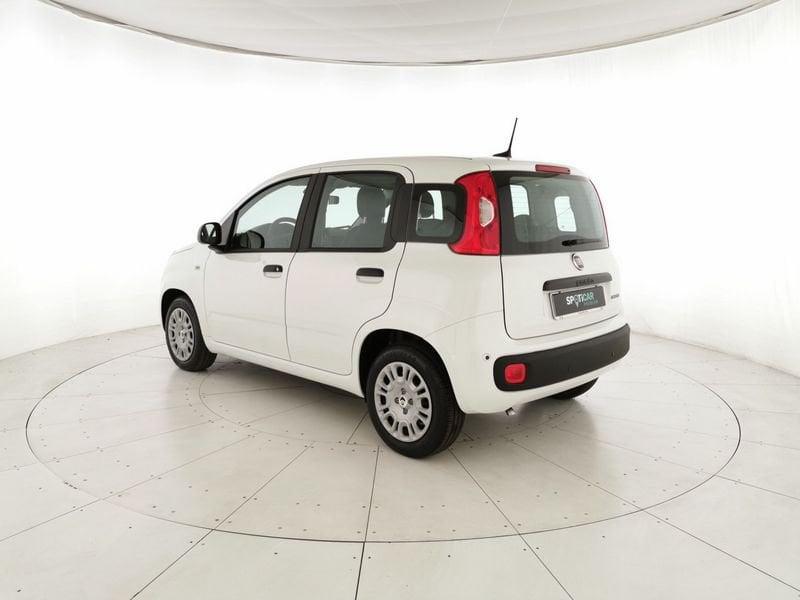 FIAT Pandina III 2024 Panda 1.0 firefly hybrid s&s 70cv 5p.ti