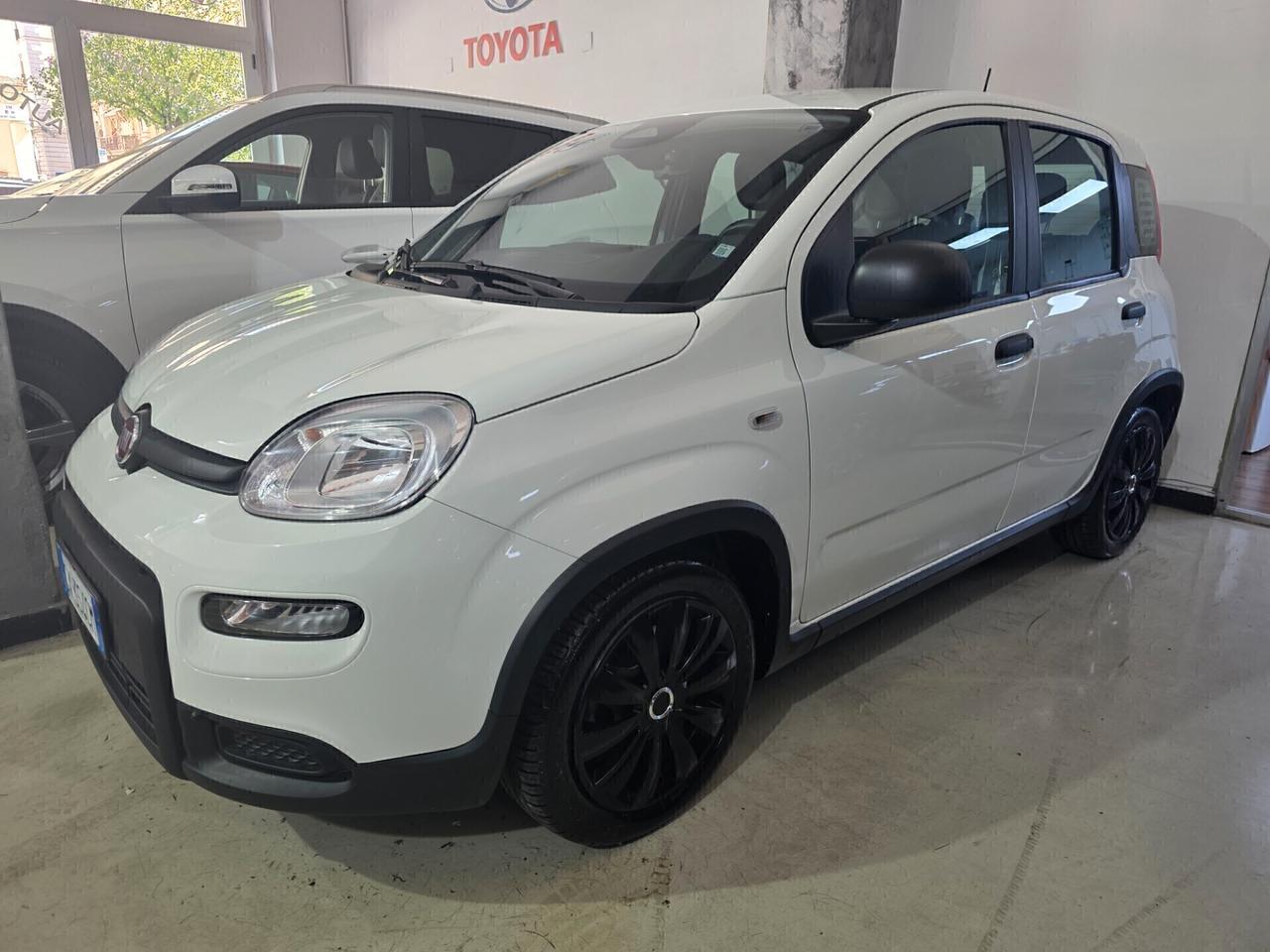 Fiat Panda 1.0 FireFly S&S Hybrid Km 4.000