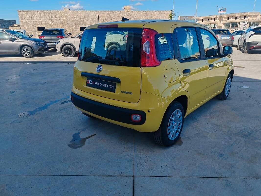 Fiat Pandina 1.0 firefly hybrid Icon s&s 70cv
