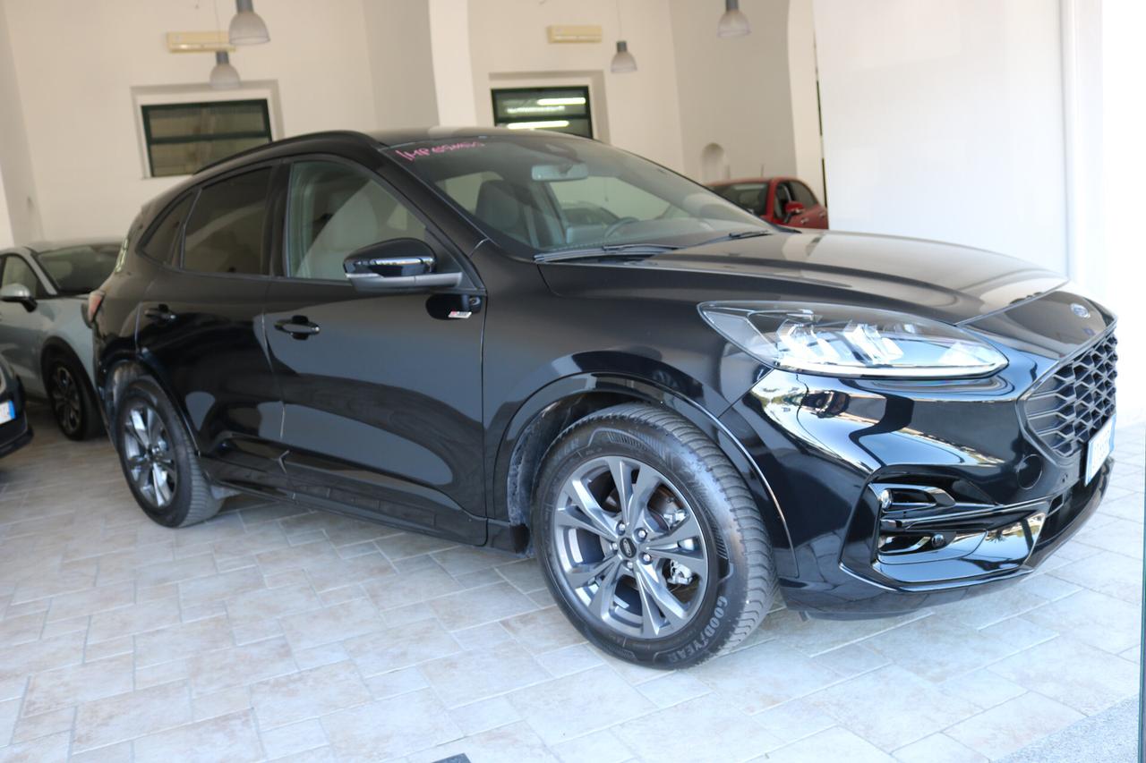 Ford Kuga 2.0 EcoBlue 120 CV aut. 2WD ST-Line Business