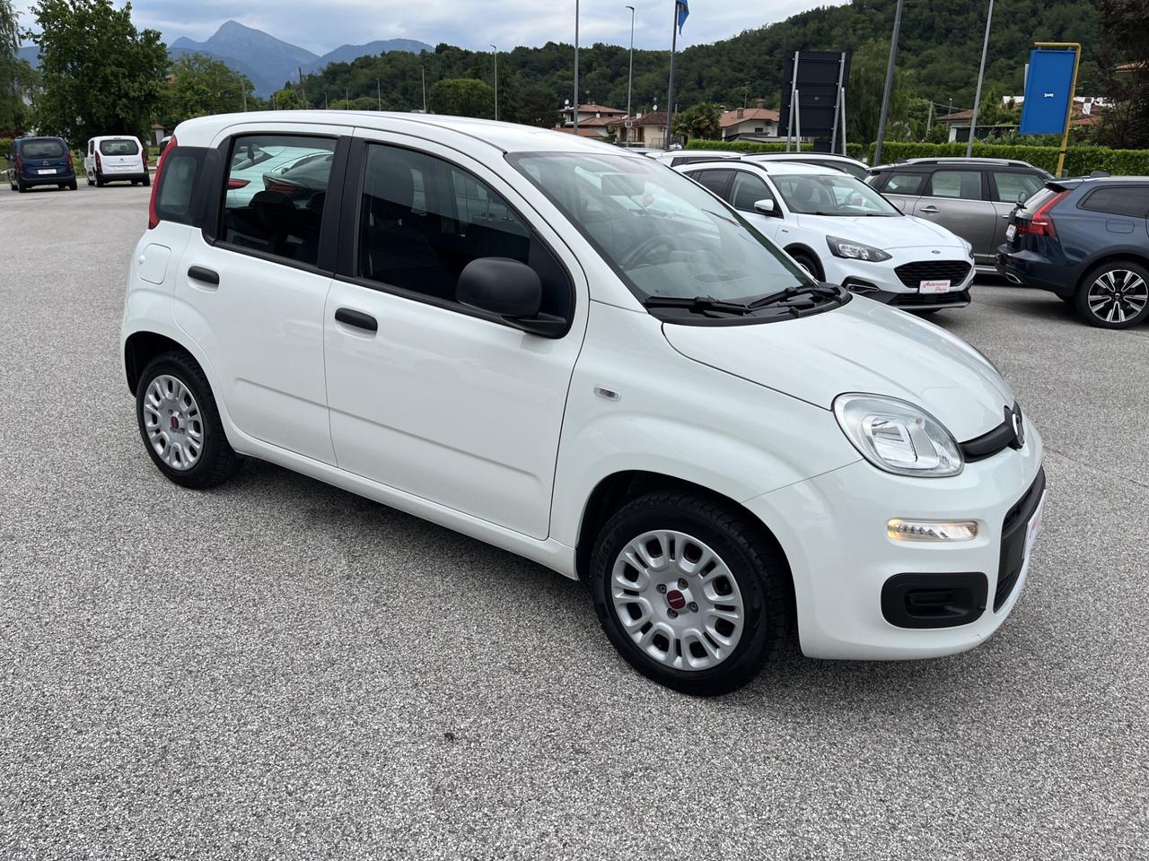 FIAT PANDA 1200 CC 69 CV EASY