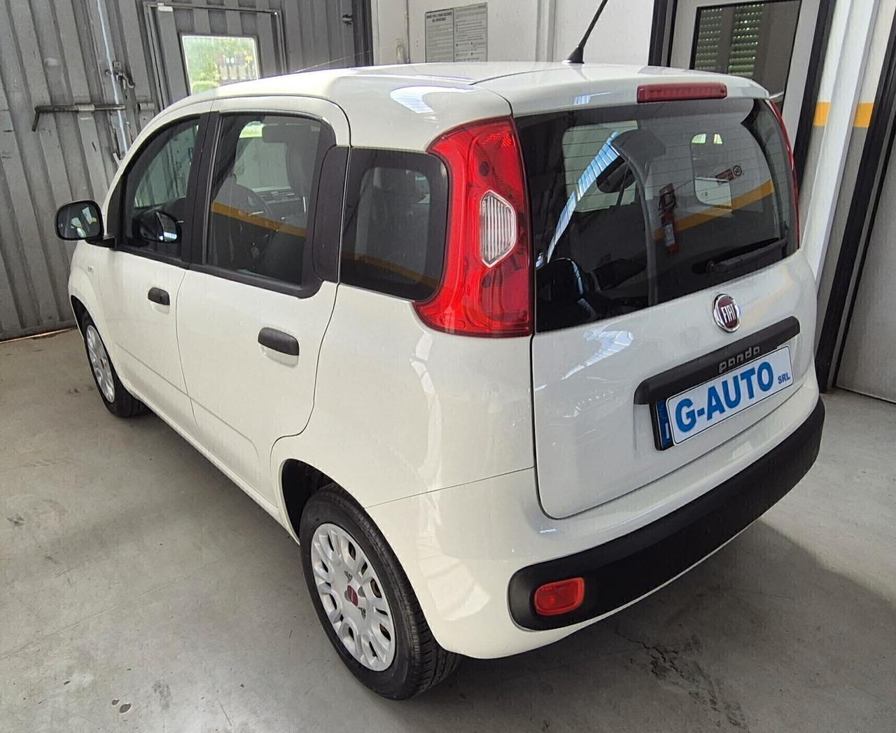 Fiat Panda 1.2 Easy 2019 Unico Proprietario