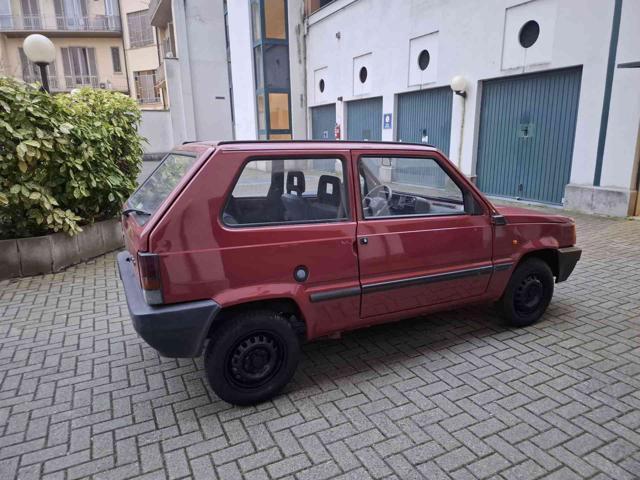FIAT Panda 1ª serie 900 i.e. cat Young