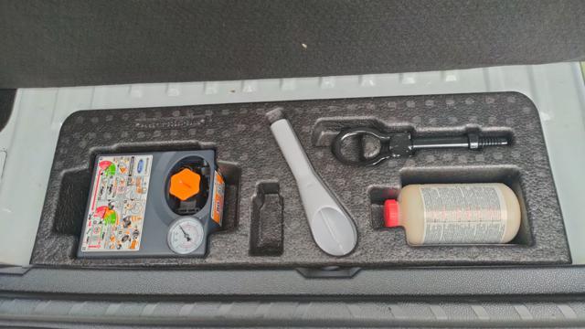 FORD EcoSport 1.0 EcoBoost 125 CV Titanium 52000KM