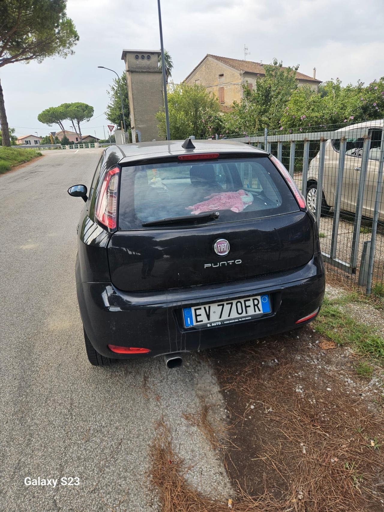 Fiat Punto Evo 1.2 8V 5 porte Lounge