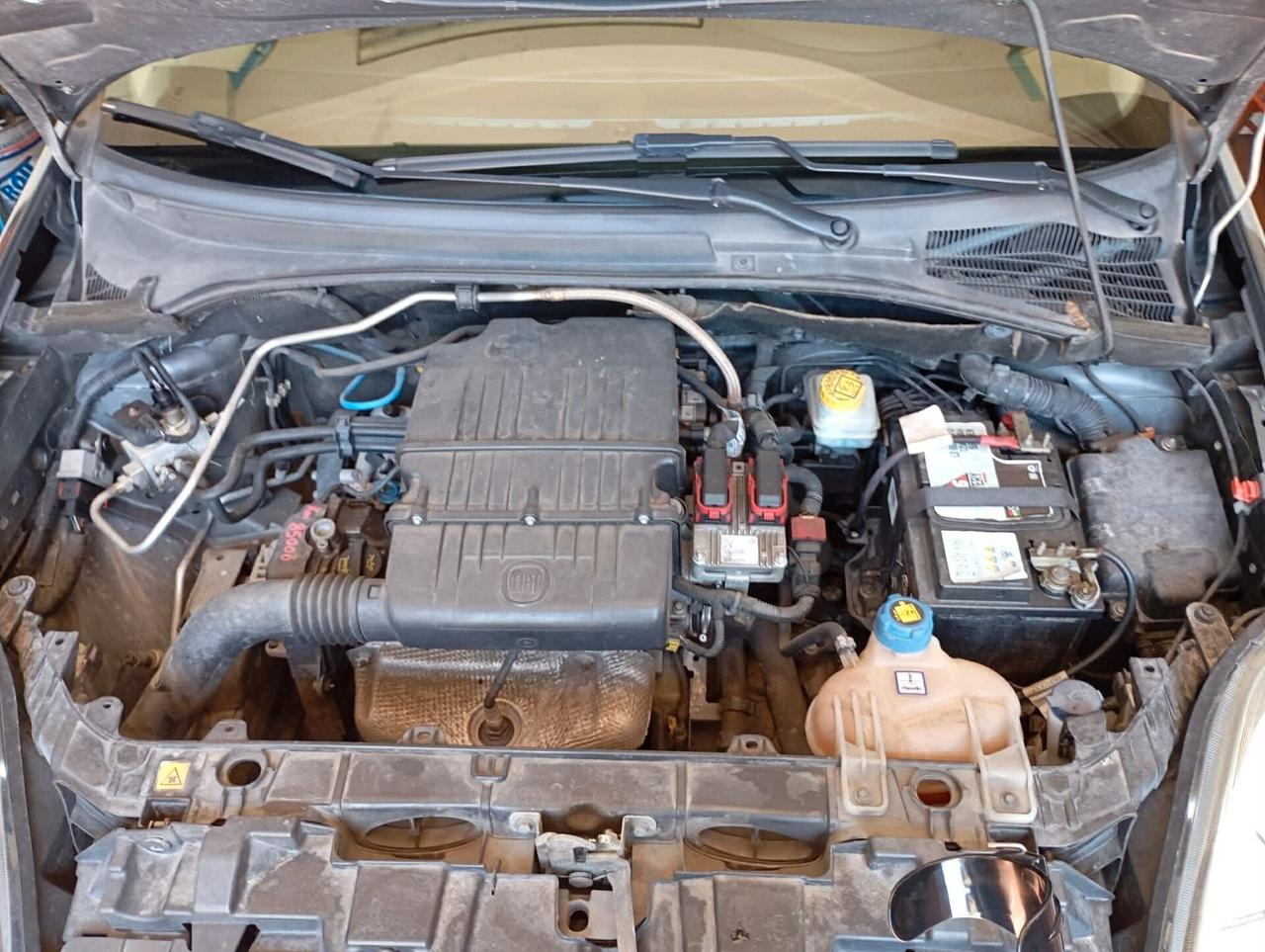 Fiat Punto 1.4 8V 5 porte Natural Power Street