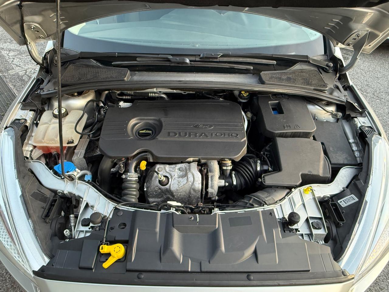 Focus 1.5 TDCi 95 CV -Titanium-rate-garanzia-E6