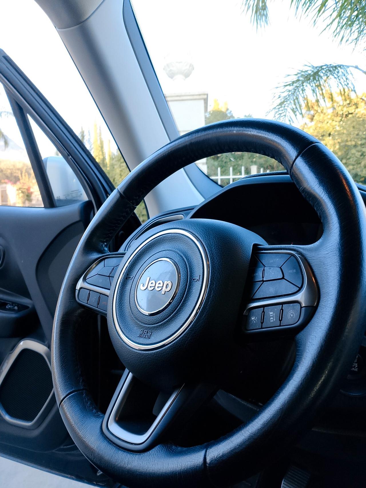 Jeep Renegade 1.6 Mjt 120 CV Sport