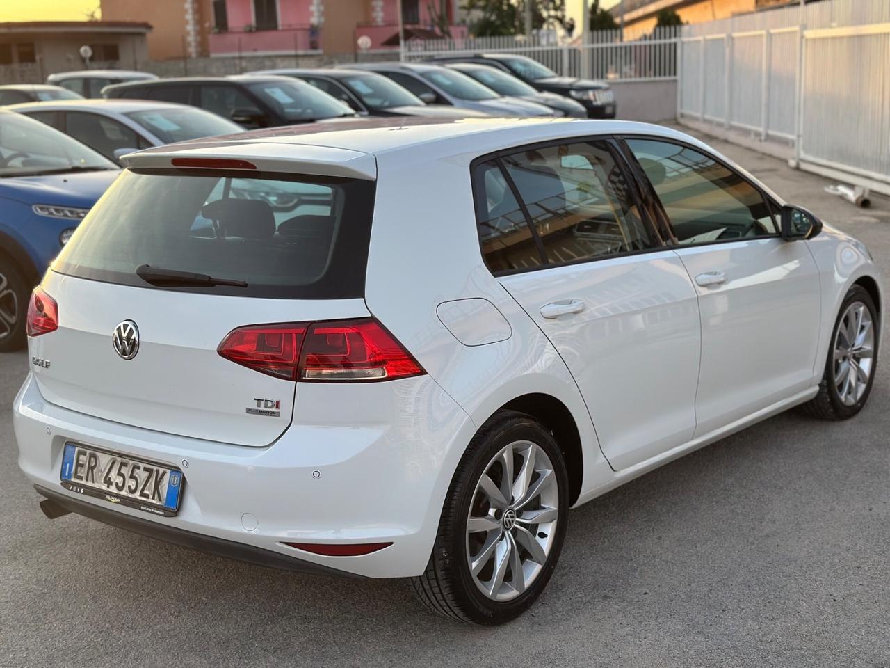 Volkswagen Golf 2013 1.6 TDI 105CV Highline XFETTA