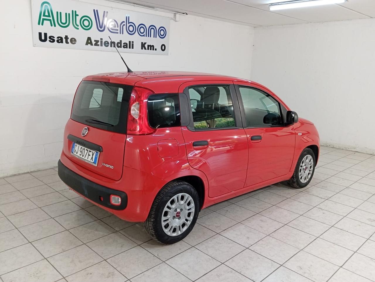 Fiat Panda 1.0 FireFly S&S Hybrid PREZZO PIU' IVA