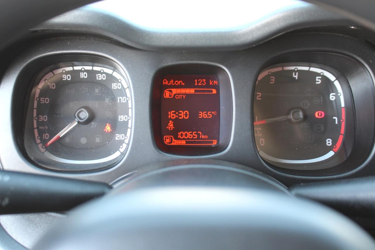 Fiat Panda 1.0 FireFly S&S Hybrid