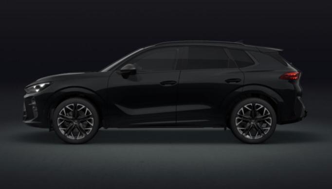 CUPRA Terramar 2.0 TSI DSG 4Drive VZ Tetto ap. Cerchi 20"