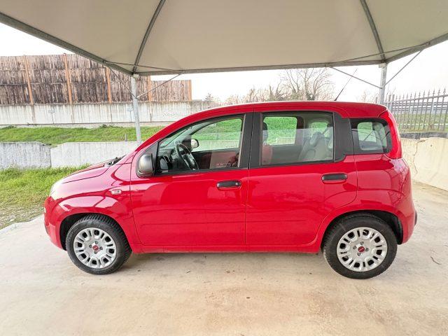 FIAT Panda 1.2 Pop UNICO PROPRIETARIO POCHI CHILOMETRI