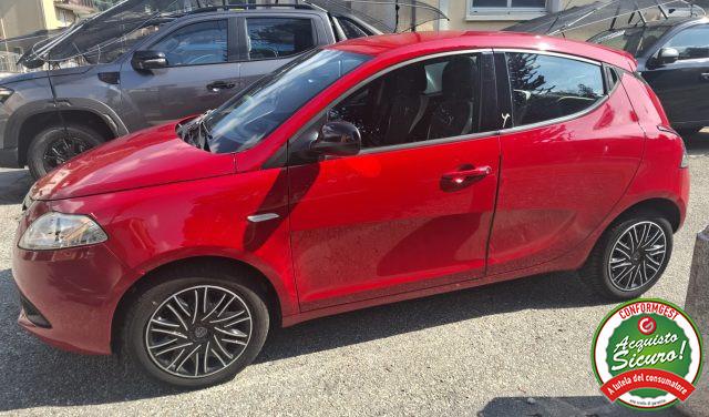 LANCIA Ypsilon 1.2 69 CV 5 porte Elefantino
