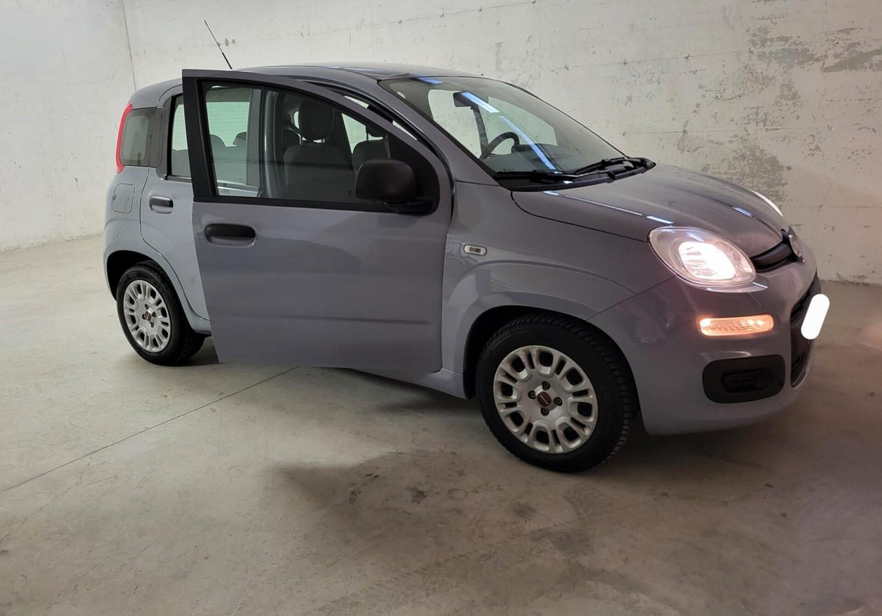 Fiat Panda Neopatentati