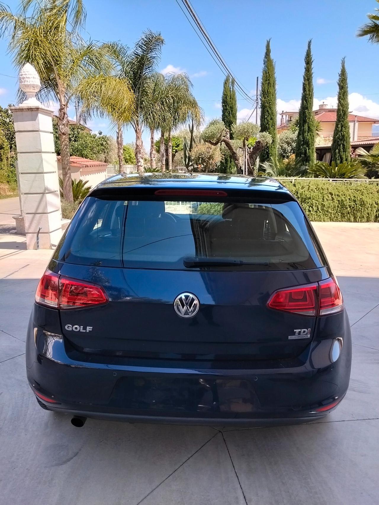 Volkswagen Golf 1.6 TDI 5p. Highline BlueMotion Technology