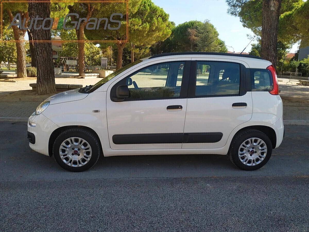 FIAT PANDA 1.2 Lounge Bianco 5Posti