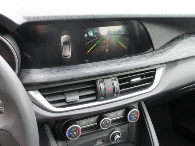 ALFA ROMEO Stelvio 2.2 Turbodiesel 190 CV AT8 RWD Executive