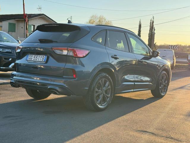 FORD Kuga 1.5 EcoBlue 120 CV 2WD ST-Line