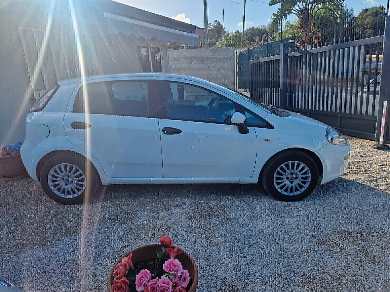 Fiat Punto Evo Punto Evo 1.3 Mjt 75 CV DPF 5 porte