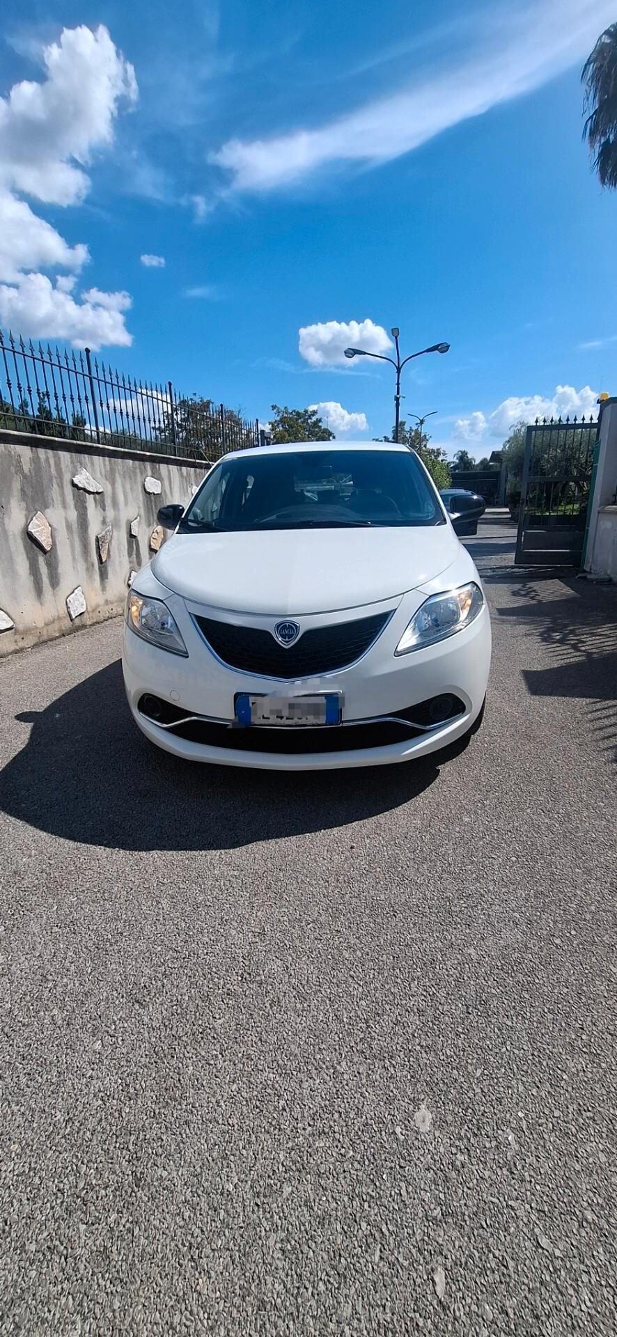 Lancia Ypsilon 1.3 MJT 16V 95 CV 5 porte S&S Platinum