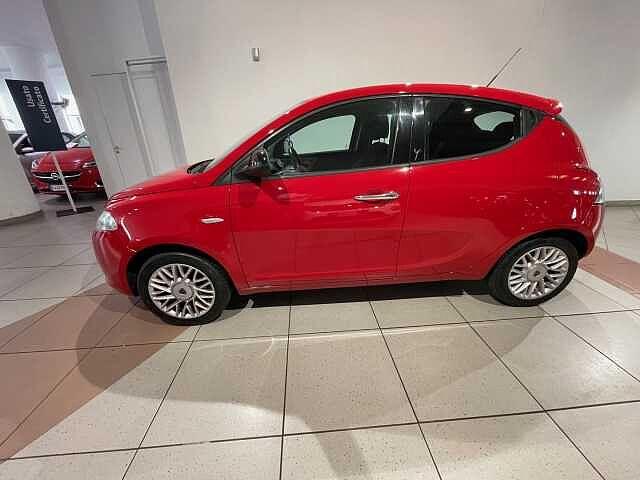 Lancia Ypsilon 1.2 69 CV 5 porte Elefantino