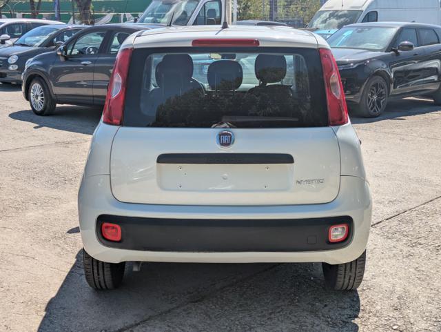 FIAT Panda HYBRID FIREFLY 1.0cc 70cv